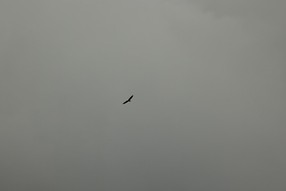 FK6A8430