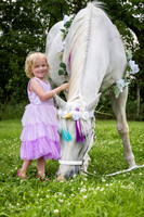 Addison's Unicorn Adventure 25