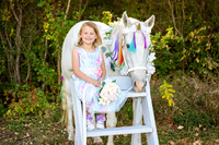 Unicorn Adventure 24